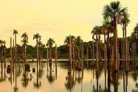lAGOA DAS ARARAS