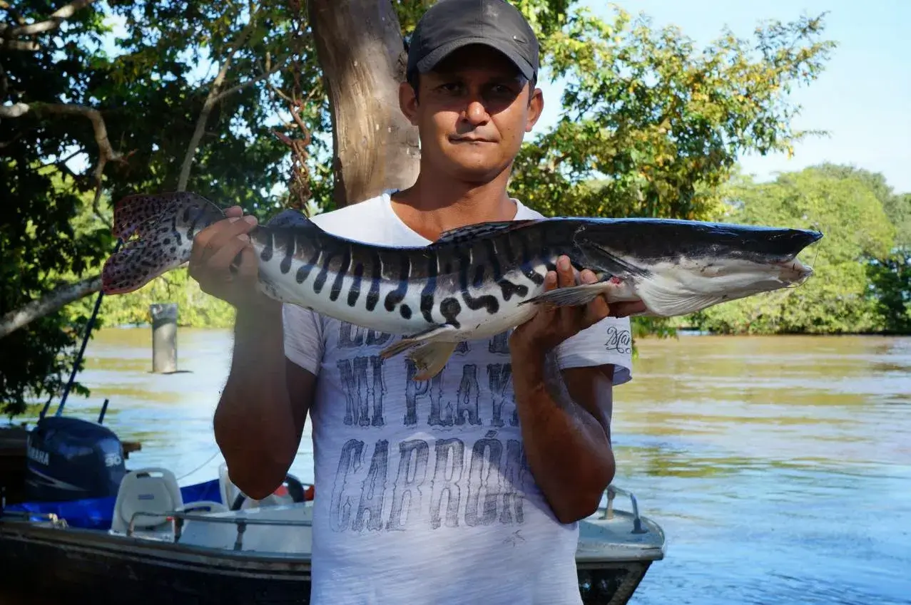 Pescarias-Fishing