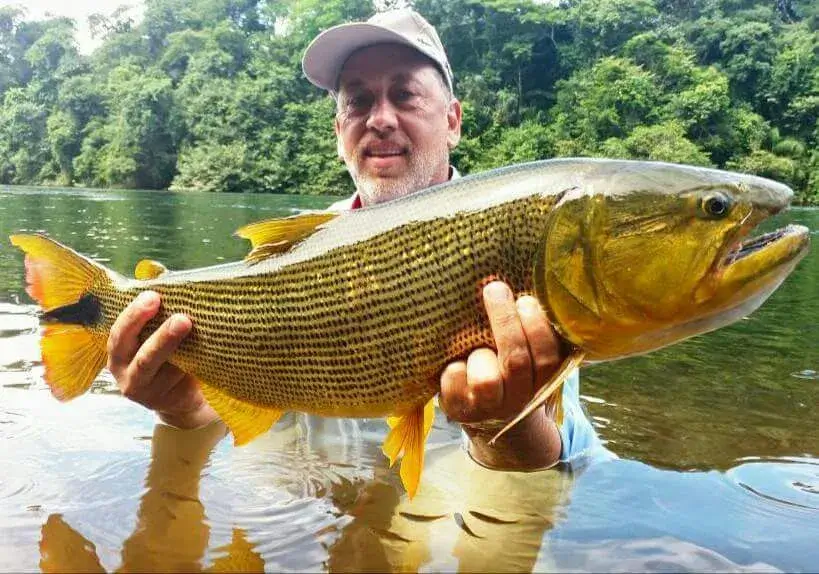 Pescarias-Fishing